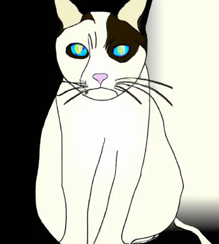 Siamese Cat