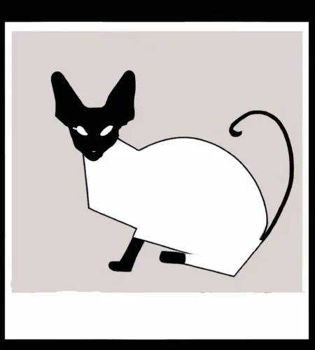 Sphynx Cat